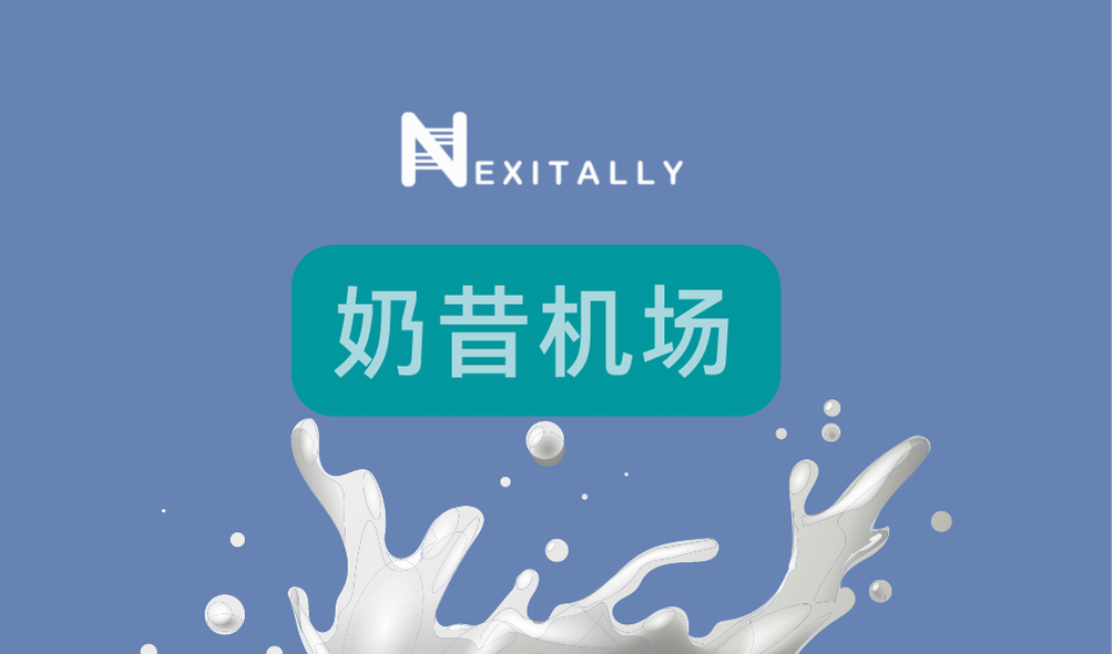 Nexitally VPN 奶昔机场官网