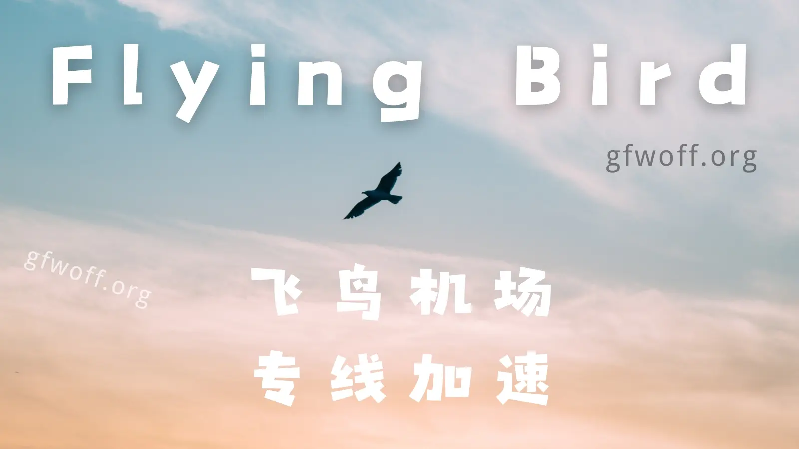 FlyingBird 飞鸟机场VPN