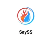SaySS 机场怎么样?-2025 VPN